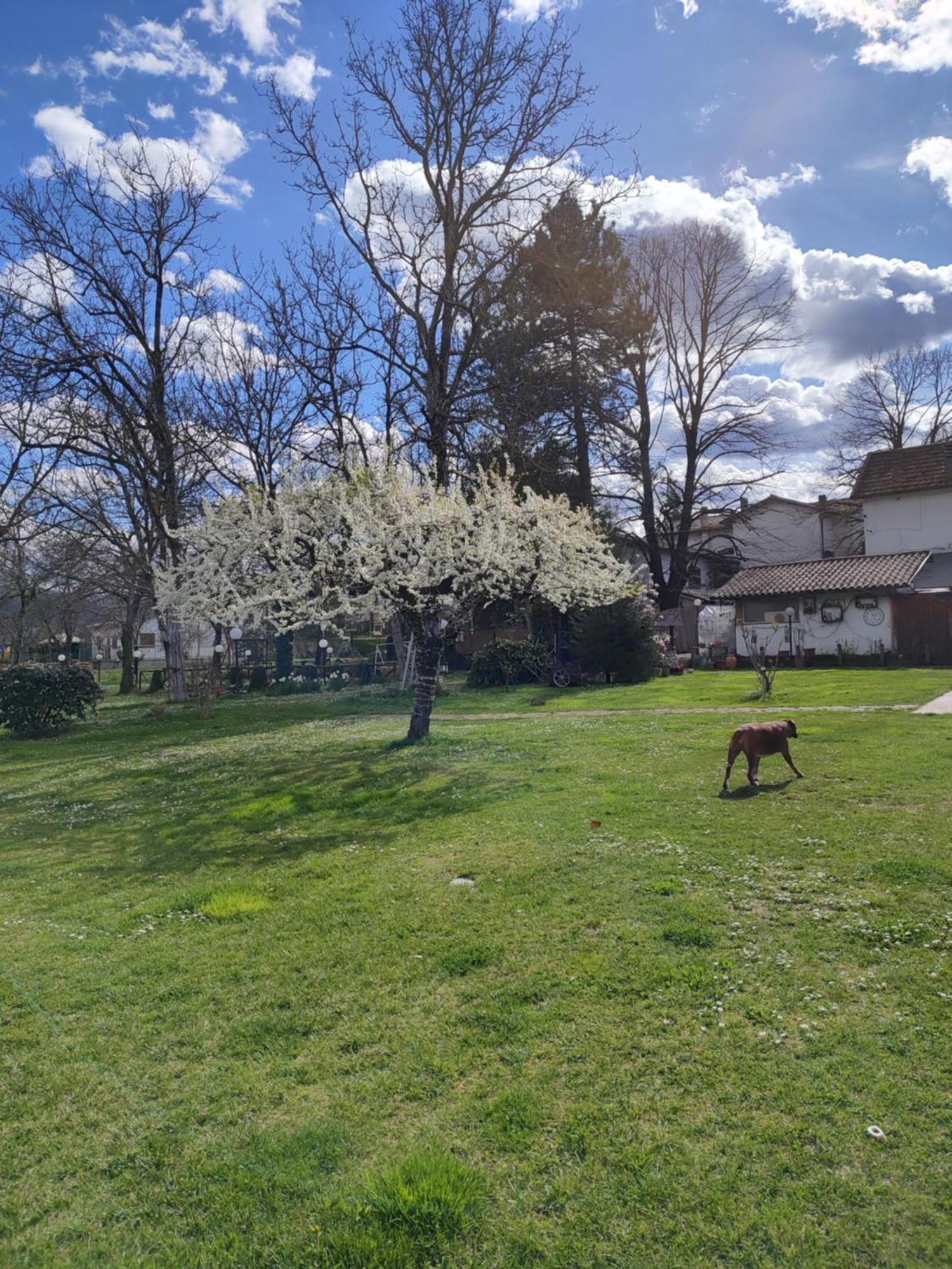 Guest House La Palazzina Rieti Esterno foto